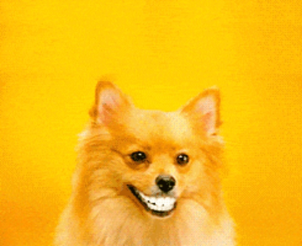 Meet your Posher, Tati